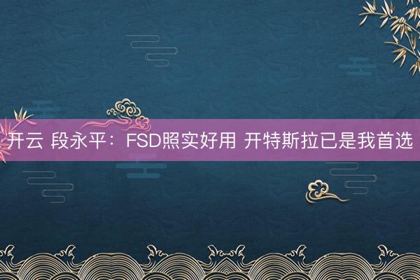 开云 段永平：FSD照实好用 开特斯拉已是我首选