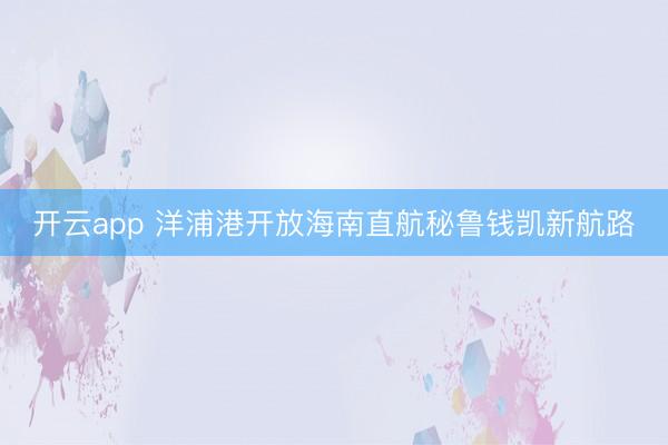 开云app 洋浦港开放海南直航秘鲁钱凯新航路