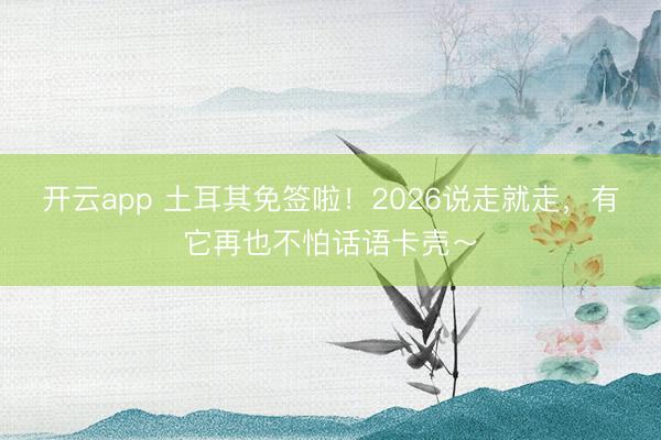 开云app 土耳其免签啦！2026说走就走，有它再也不怕话语卡壳～