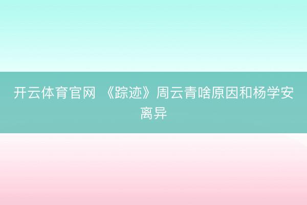 开云体育官网 《踪迹》周云青啥原因和杨学安离异