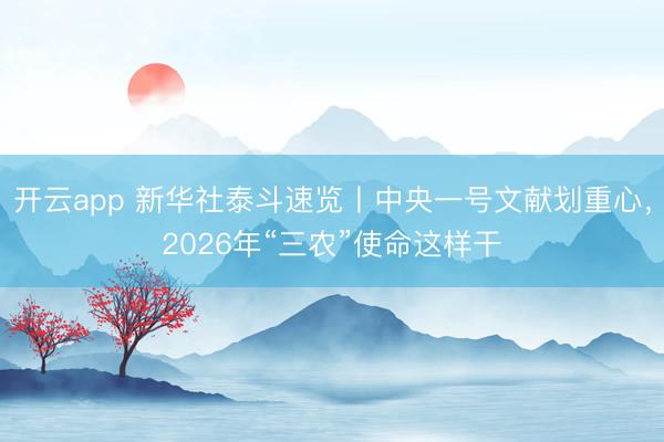 开云app 新华社泰斗速览丨中央一号文献划重心，<a href=