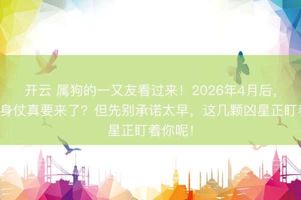 开云 属狗的一又友看过来!2026年4月后,你的翻身仗真要来了?但先别承诺太早,这几颗凶星正盯着你呢!