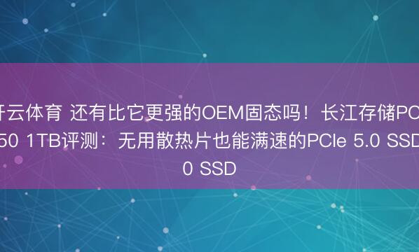 开云体育 还有比它更强的OEM固态吗！长江存储PC550 1TB评测：无用散热片也能满速的PCIe 5.0 SSD