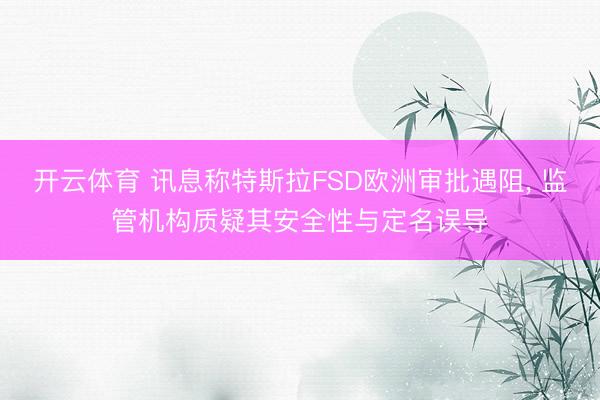 开云体育 讯息称特斯拉FSD欧洲审批遇阻， 监管机构质疑其安全性与定名误导