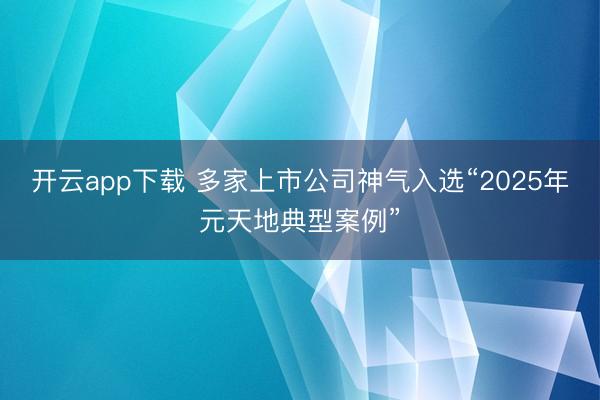 开云app下载 多家上市公司神气入选“2025年元天地典型案例”