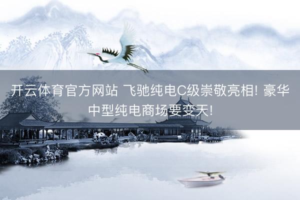 开云体育官方网站 飞驰纯电C级崇敬亮相! 豪华中型纯电商场要变天!